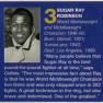 Sugar Ray Robinson