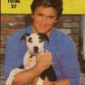 Andrew Stevens