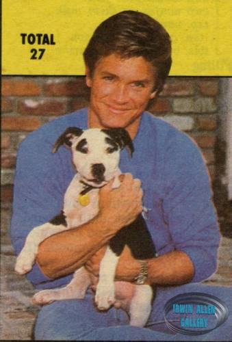 Andrew Stevens