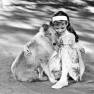 Angela Cartwright in Lad a Dog