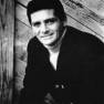 David Hedison