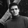 David Hedison in Voyage to the Bottom of the Sea