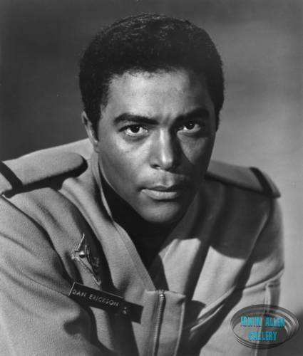 Don Marshall as Dan Erickson