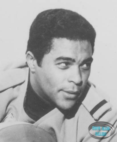 Don Marshall