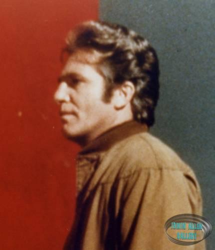 Don Matheson as Mark Wilson