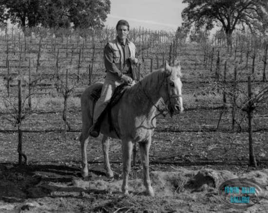 Gary at the vineyard