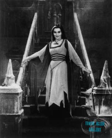 Lee Meriwether in The Munsters