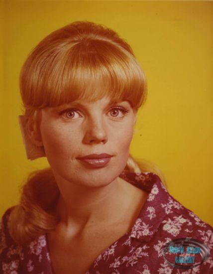 Marta Kristen