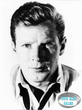 Richard Basehart Portrait