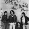 Stefan and the Wild Boys