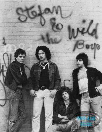 Stefan and the Wild Boys