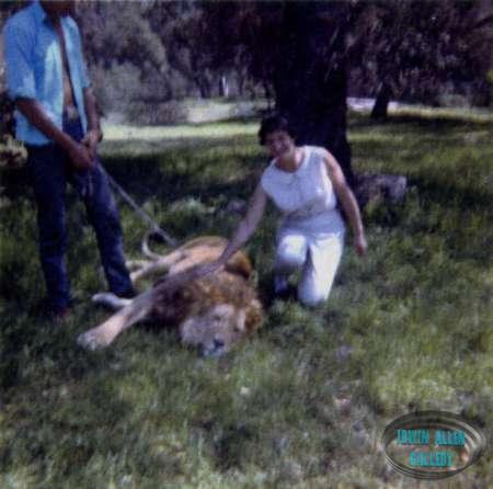 Elizabeth Emanuel and friendly lion