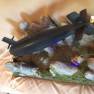 UN Attack Submarine Prop
