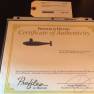 UN Attack Submarine Prop Provenance