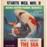 Sea Around Us Window Card