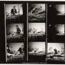 Animal World Contact Sheet