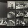 Animal World Contact Sheet