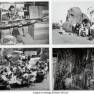 Lost World Photos