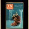 TV Guide Cover Photo
