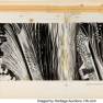 Original Book Art Layouts