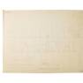 Alice in Wonderland and Pinocchio Xerographs and Drawings