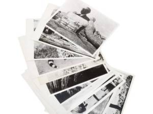 Animal World Ephemera