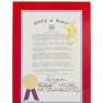 Irwin Allen Plaques