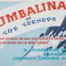 Jumbalina and the Teeners Original Pitch Art