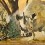Safari Original Pitch Art
