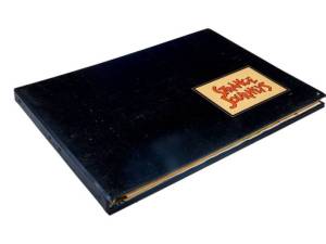 Safari Pitch Binder