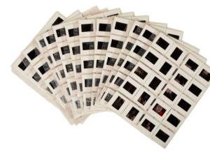 Swarm Ephemera
