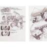 Lot #12 Poseidon Adventure Original Storyboards