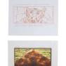 Lot #96 Swarm Original Storyboard Illustrations