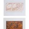 Lot #98 Swarm Original Storyboard Illustrations