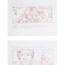 Lot #118 Swarm Original Storyboard Illustrations