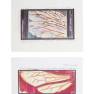 Lot #120 Swarm Original Storyboard Illustrations