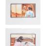 Lot #156 Swarm Original Storyboard Illustrations