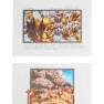Lot #160 Swarm Original Storyboard Illustrations