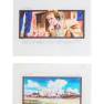Lot #165 Swarm Original Storyboard Illustrations