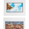 Lot #176 Swarm Original Storyboard Illustrations