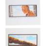 Lot #177 Swarm Original Storyboard Illustrations