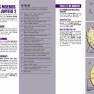 Jupiter 2 Lighting Kit Instructions Pages 2-3