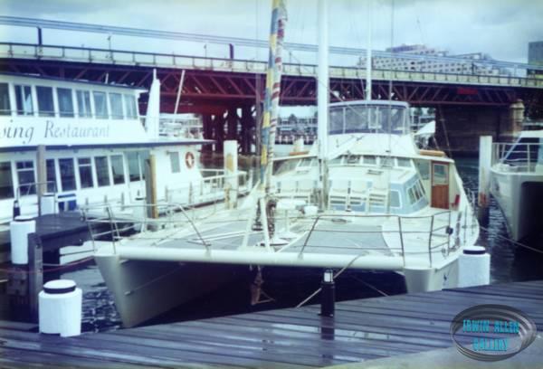 The Tafua