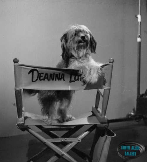 Who's been sitting in my chair?