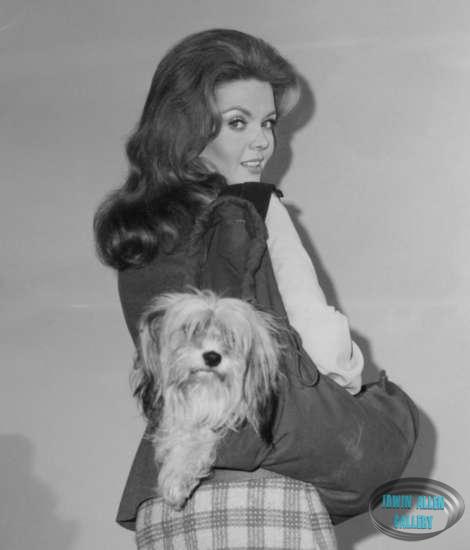 Chipper catches a ride with Deanna Lund