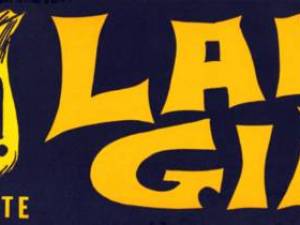 Bumper Sticker
