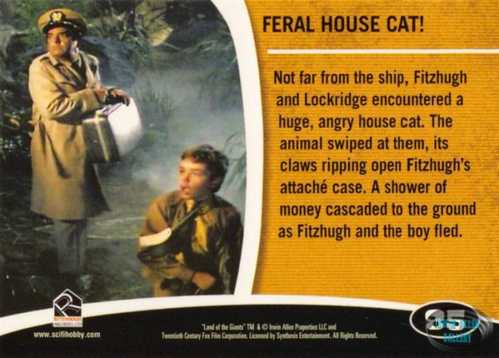 Fantasy Worlds Card Back #85