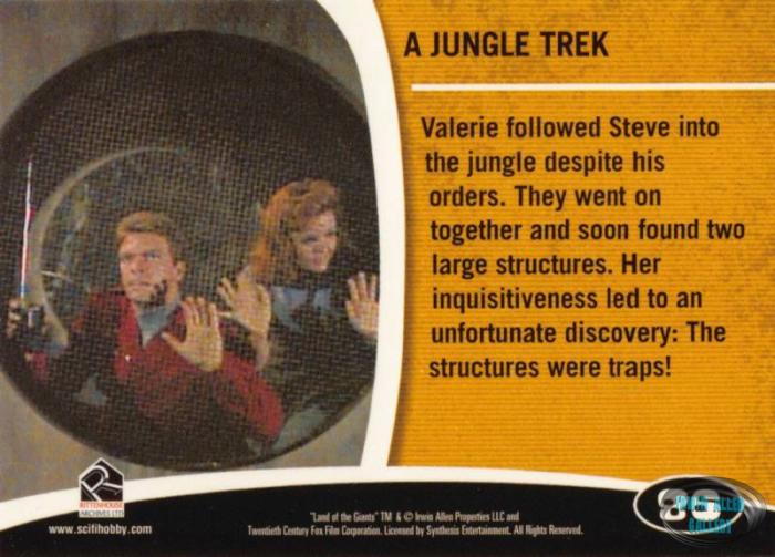 Fantasy Worlds Card Back #86