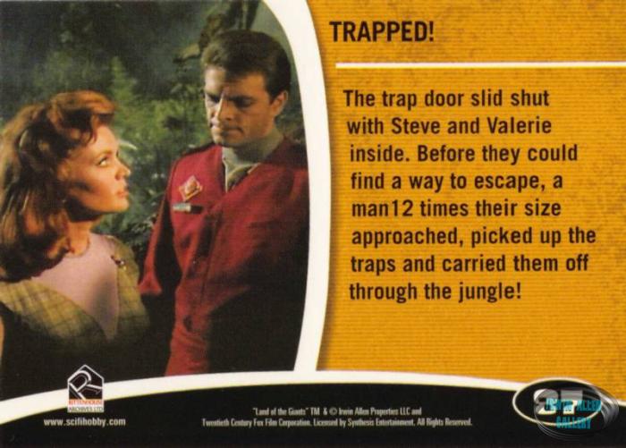 Fantasy Worlds Card Back #87