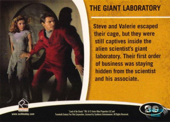 Fantasy Worlds Card Back #89